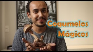 Download lagu Psilocibina e Redução de Danos - #15 mp3