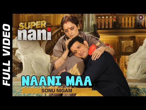 Poster nani maa