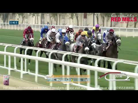 31st Race Meeting   HH The Amir Festival   2