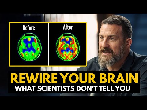 Watch — Neuroscientist Explains: How to Control Dopamine for Lasting Motivation — Andrew Huberman