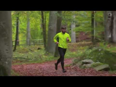 Ronneby Brunnsskog – A forest for everyone, all year round!