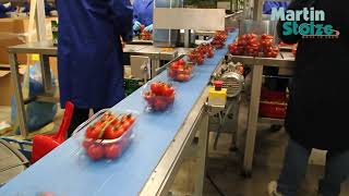 Другая сельхозтехника Martin Stolze Verwerkingslijn fruit en groenten | Изображение 4 - Agroline