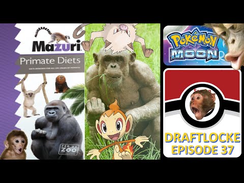 Monkey Pilled - Draftlocke Season 8 - Pokemon Moon #37