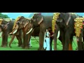 Sneham Ante Idera Naa Pedaviki Pratyusha Hot Song Mp4