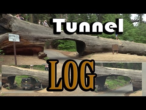 Drive Thru LOG