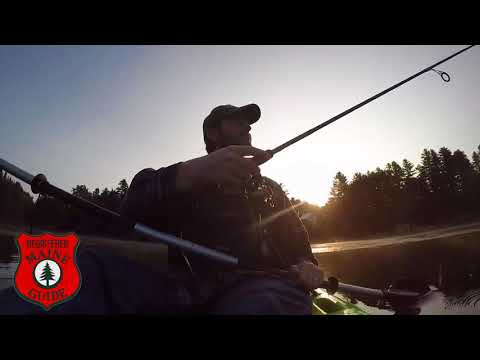 Introduction to Laz'r Lure