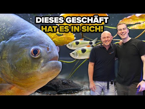 The great FRESHWATER AQUARIUM TOUR at Stephan's in Freiburg!