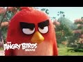 The Angry Birds Movie - Official International Trailer