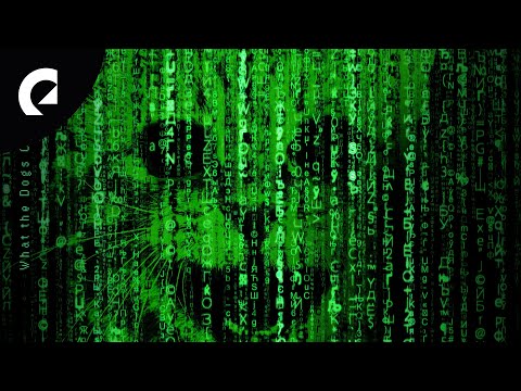 Zorro - Nothing to Talk About