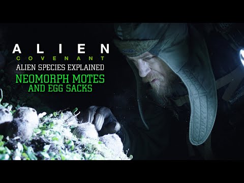 The Neomorphic Motes and Egg Sack (Stage 1 and 2) - Alien Species Explained