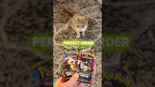 SHE CHOSE WHICH PACK I SHOULD OPEN!! #pokemoncards #pokemontcg #perfectorder #cat #kitten