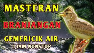 Download lagu Masteran Suara Burung Branjangan Parva Javanica agar cepat Gacor mp3