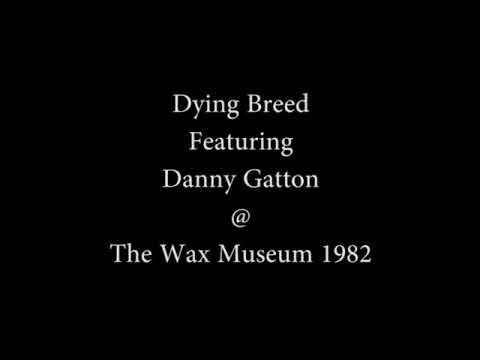 Dying Breed featuring Danny Gatton playing Banjo and Guitar - The Wax Museum 1982 - audio only -