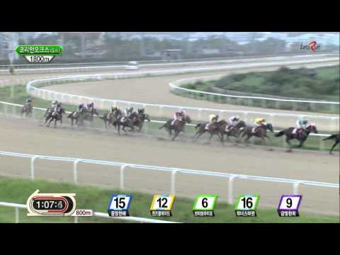 Korean Oaks 2014 - Queen's Blade