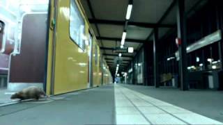 Nissan Juke - Light Up The Night