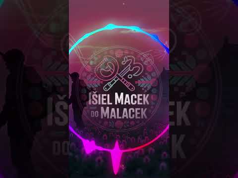 Išiel Macek do Malacek ???? Keď ľudovka stretne beat #isielmacekdomalaciek #shorts #folkEDM