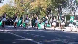 Homestead High School Marching Band at Cupertino Tournament of Bands (TOB), Oct 11, 2014
