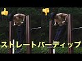 [Vlog] ストレートバーディップは足を前に出さない方がいいですよ！[カリステニクス･自重トレ]