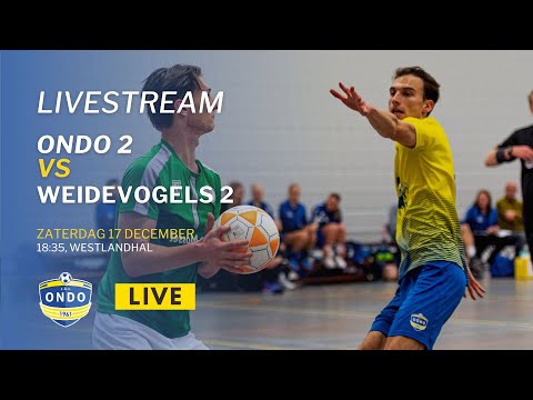 ONDO (G) 2 - Weidevogels 2