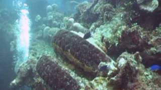 preview picture of video 'MSD Dive Truk Lagoon (Chuuk) 2008 - Sankisan part two'