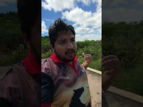 Ponte abandonada, Cacimbas e Desterro-Pb.