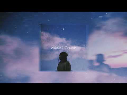 Wildest Dream (Shalom Margaret Cover) - Lofi Remix