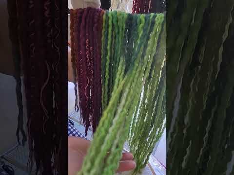 Wool Dreadlocks: Set up, Wool Roving and Demonstration!