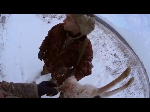 ОХОТА НА ЗАЙЦА 1 (сезон 2015-2016гг)  HUNTING HARE