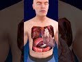 Dive Deep Into Your Body And Discover It