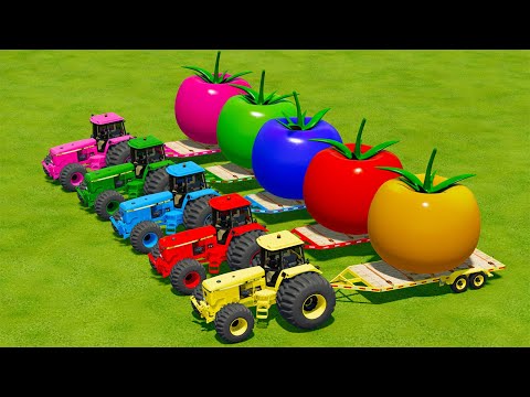 LOAD AND TRANSPORT GIANT TOMATOES WITH JOHN DERRE TRACTORS -   Farming Simulator 22
