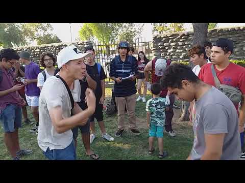 Nsb vs celulita 8vo multiverse