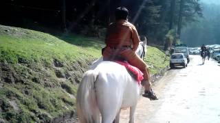preview picture of video 'Enjoy Horse Riding at Khajjiar'