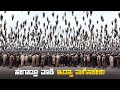 Pandorum Movie Explained In Kannada Sci Fi Movie Plot Review