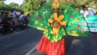 preview picture of video 'Gunungkidul Green Carnival (GGC)'