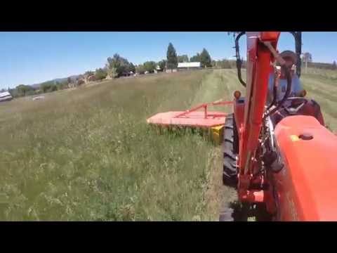 Kubota L2501HST with Tar River BDR-165 5'5" Drum Mower cutting grass hay.