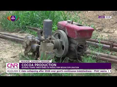 Cocoa Production: Several farms threatened as mining firm begins exploration