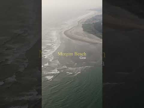 Morjim Beach, North Goa - Discover Little Russia | Stunning Drone Views