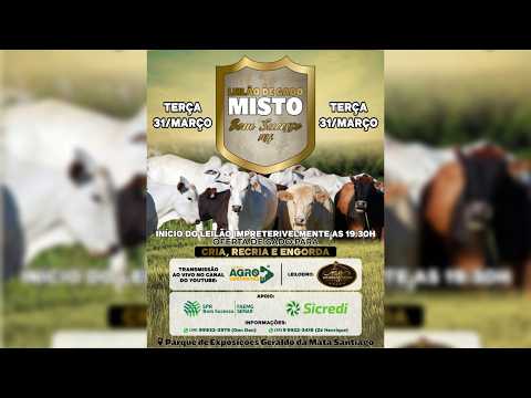 LEILÃO MISTO SINDICATO RURAL DE BOM SUCESSO E IBITURUNA/MG - 14/04/2026