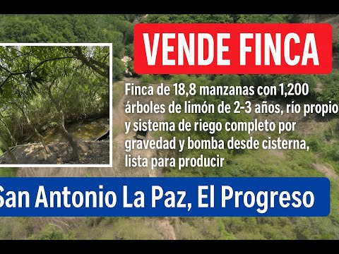 Finca8888  de 18.8 manzanas en San Antonio, La Paz, El Progreso,