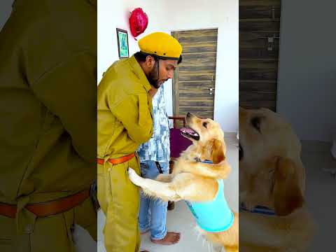 मेरे डॉगी ने मलिक को कैसे बचाया आज😱 #funnydogs #shorts