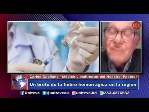 La importancia del uso del plasma