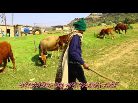 EmDee ke batla ho jella tafoleng