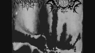 Nachtmystium - Desolation