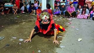 Download lagu SERREEMMMM ‼️ TARI KUCINGAN LIMA PUTRA JAYA 🔴 LIVE BALUNG KOPI ( PART MALEM ) mp3 Download lagu SERREEMMMM ‼️ TARI KUCINGAN LIMA PUTRA JAYA 🔴 LIVE BALUNG KOPI ( PART MALEM ) mp3