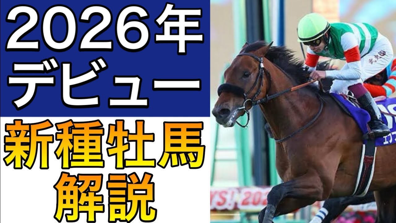 【POG/26−27】2026年産駒デビューの新種牡馬を解説＆注目２歳馬レビュー！