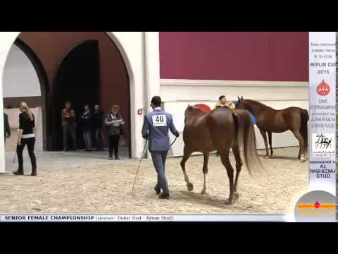 Berlin Cup 2015 - Senior Female Championship