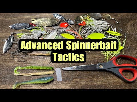 Advanced Spinnerbait Fishing Tactics And Techniques
