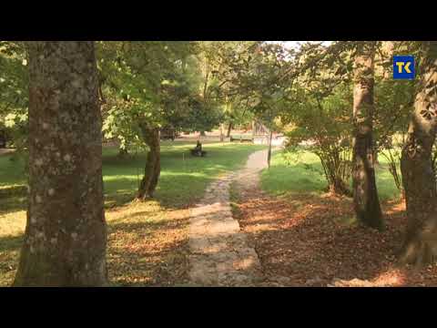 Sabahudin Šabanović Dino Oj, mjeseče, lolo đidijo