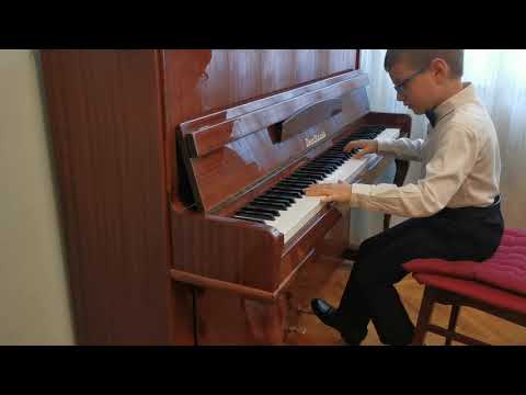 Concurs Lirika - Tudor Pojoga