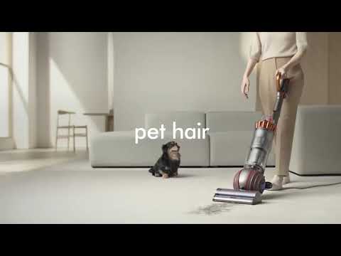 Dyson Ball Animal Origin Upright Corded Vacuum Cleaner